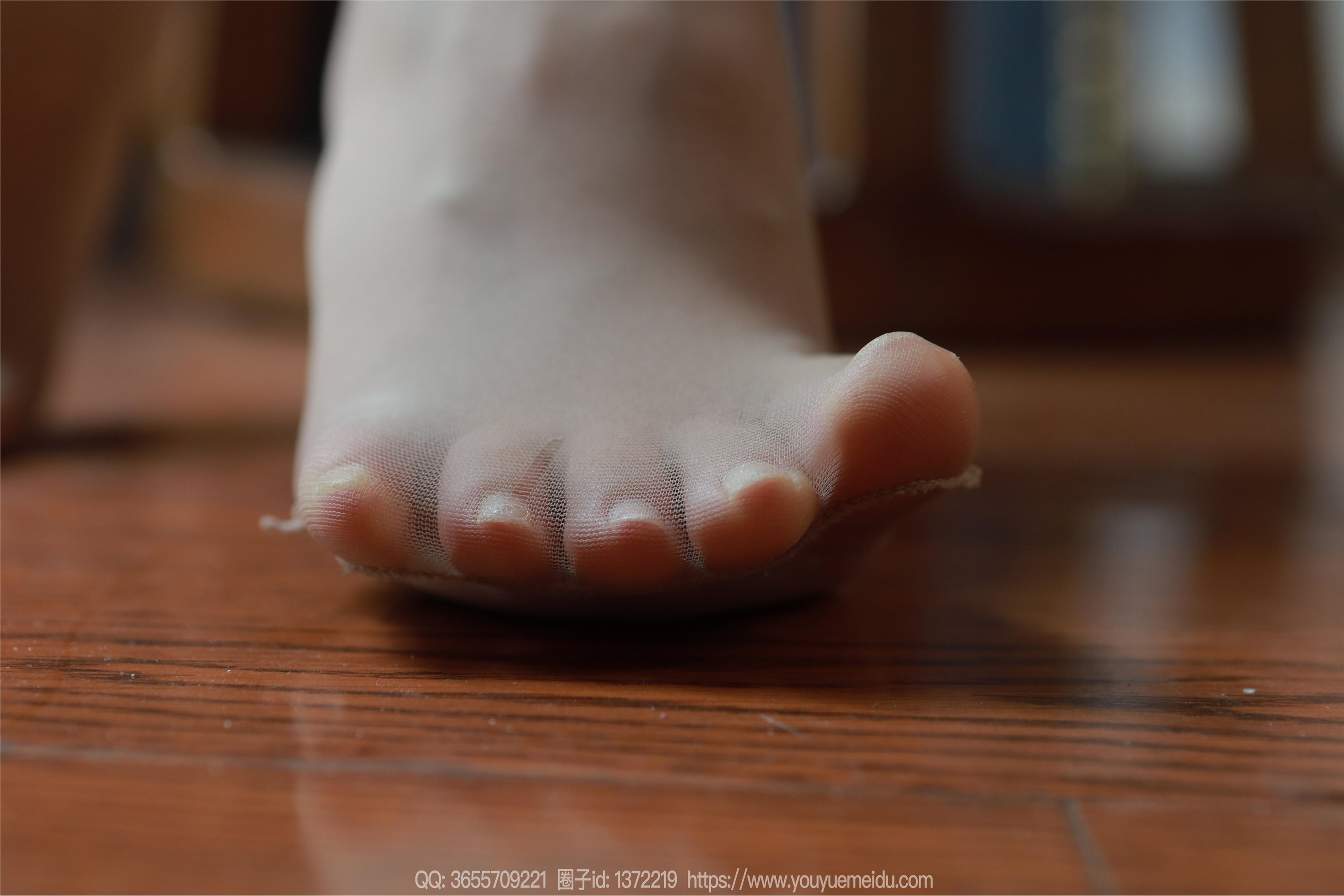 IESS异思趣向  2024.11.29 丝享家 1911 小金《温婉如玉》